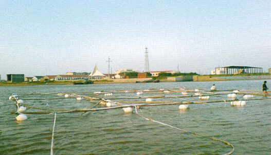 海面探测断层构造